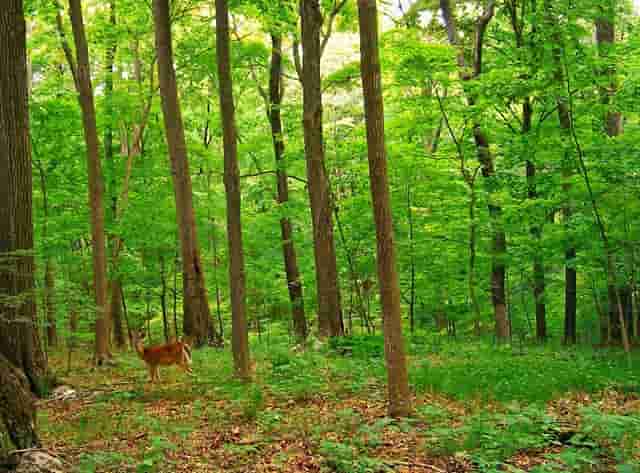 标准差最重要的数字特征