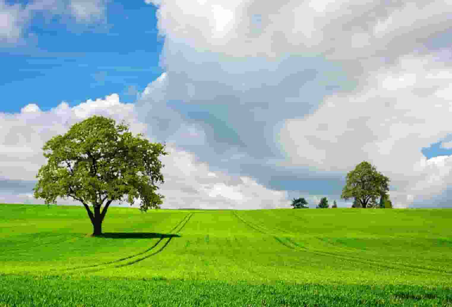 口腔名医站 | 你是否留意到了牙齿上那个呈现出“黑三角”形状的区域？