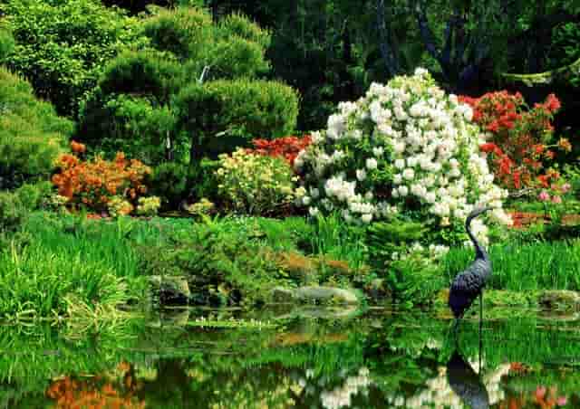 HECT澳洲瀚德移民： 澳大利亚申请留学规划指南