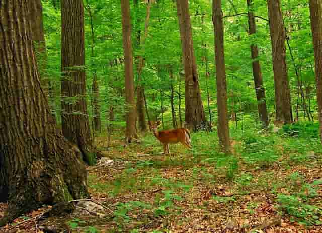 1分钟生活小技巧切水果的正确方法