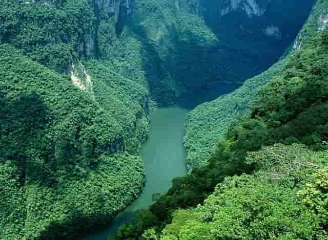 小腿肌肉萎缩严重疼痛(小腿肌肉萎缩怎么治)