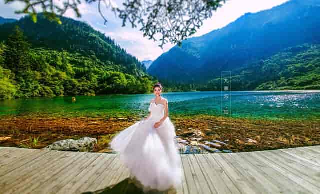 袖虎宠物带你避雷星期猫！不可马虎大意！