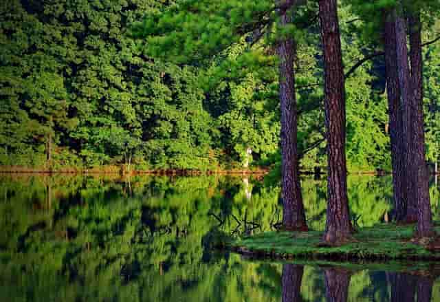 知乎✖别克GL8丨拆车实测，揭秘mpv标杆那些深藏不漏的细节