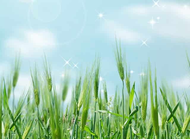 行业基本特性(行业特性包括什么)