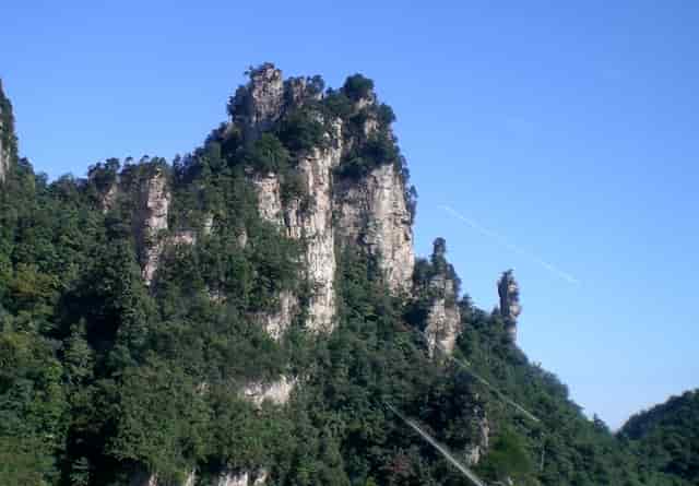 袖虎卖病猫？他们竟然这样说！