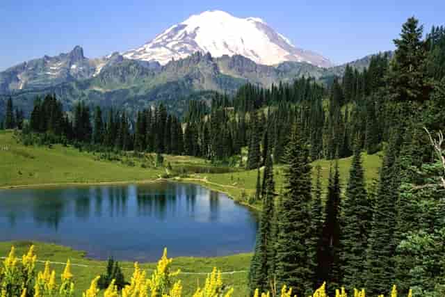 脱贫成果巩固和乡村振兴有效衔接