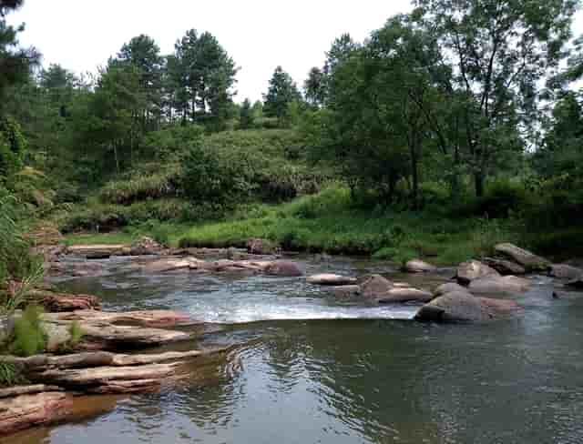 袖虎病猫攻略：脸黑不是病，重点色要了解