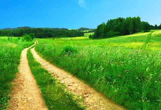 跟女生谈恋爱违法吗(同时跟几个女生谈恋爱违法吗)