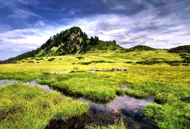 撞人逃跑怎么办(撞人逃跑属于什么罪)