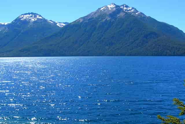 袖虎病猫攻略：猫流口水要注意