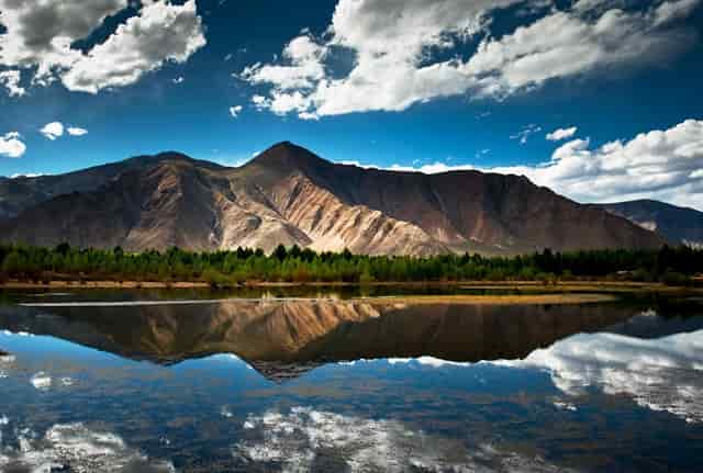 晚上看到喜鹊是什么意思啊(喜鹊命是什么意思)