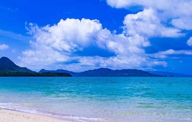 袖虎病狗攻略：狗怎么会瘸？