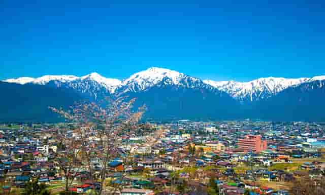 梦见好多鸡蛋大家一起吃(女人梦见好多鸡蛋破了)