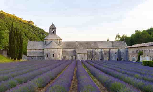 柴油路虎失火(路虎揽胜柴油版)