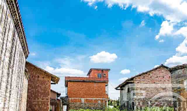 离婚的有哪些男明星(成名后离婚的男明星)