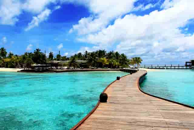 袖虎宠物加盟解惑，宠物店加盟品牌到底靠谱不？