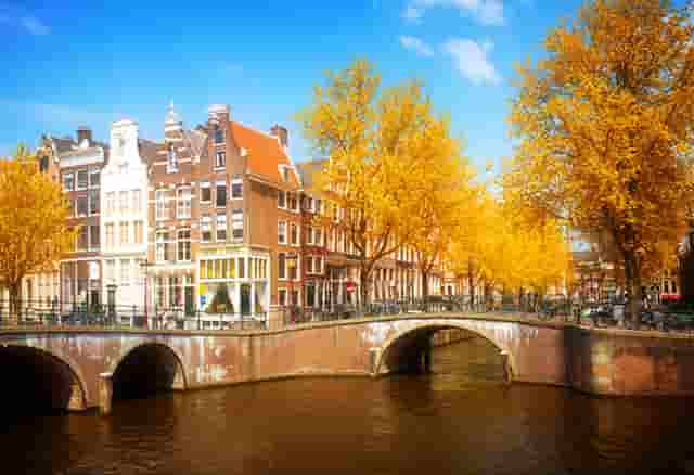 没有党组织了(没有党组织关系)