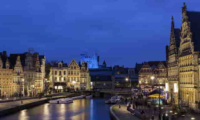 袖虎病猫攻略： 猫咪便秘怎么治疗