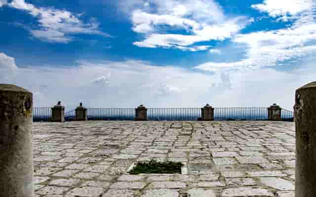 袖虎病猫攻略：猫咪眼睛明亮的奥秘