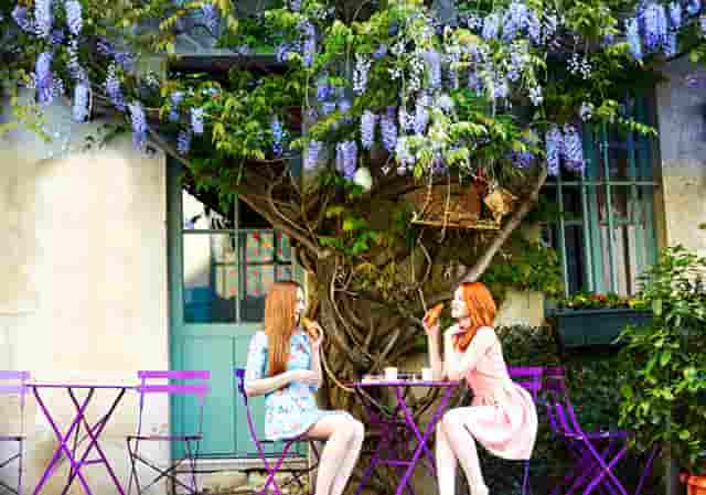 抓获23人，2个电信诈骗犯罪团伙被打掉