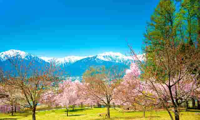 笑傲江湖快捷键大全集(笑傲江湖骑马快捷键)