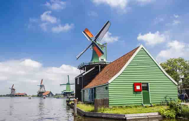 袖虎病狗攻略：为什么小狗也会口臭得让人受不了