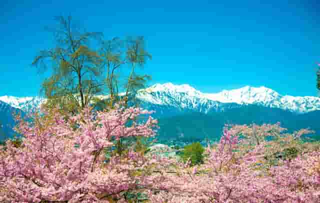 抖音直播点不上赞(抖音直播点不上赞是不是手机设置了权限)