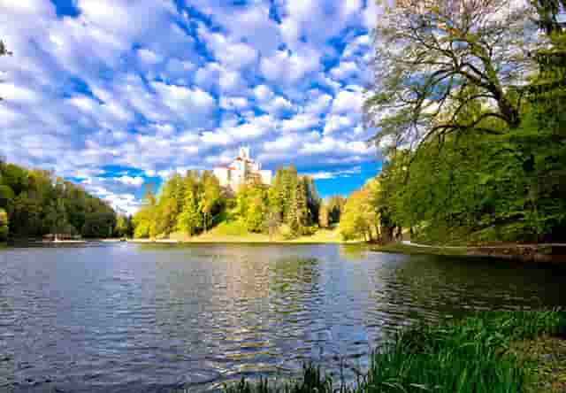 袖虎病猫攻略：猫咪多久需要驱一次虫