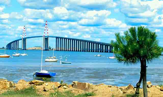 邻居家的视频(到邻居家做客幼儿视频)