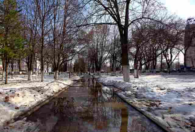 郎平全国女排联赛(世界女排联赛郎平为什么用二队)