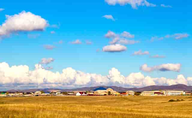 袖虎病狗攻略：狗身上碰不得的7个地方，小心无知被狗咬