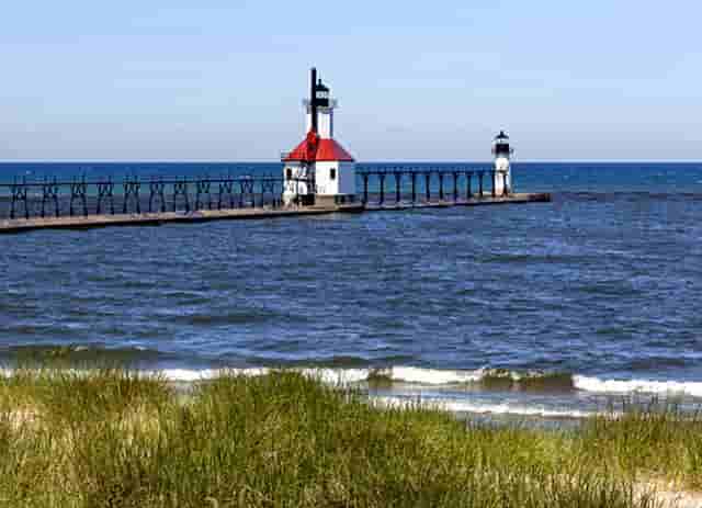 袖虎宠物告诉你：要学会避雷中国宠物行业无效信息！