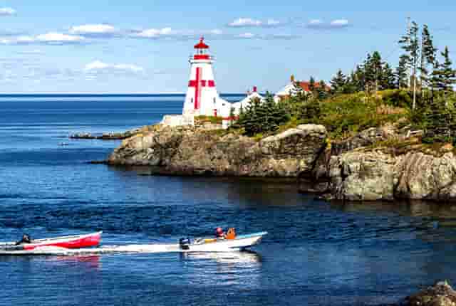 袖虎病狗攻略：狗的几种常见皮肤病，你都知道吗？