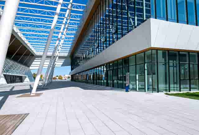 袖虎病猫攻略：猫咪打喷嚏别轻视