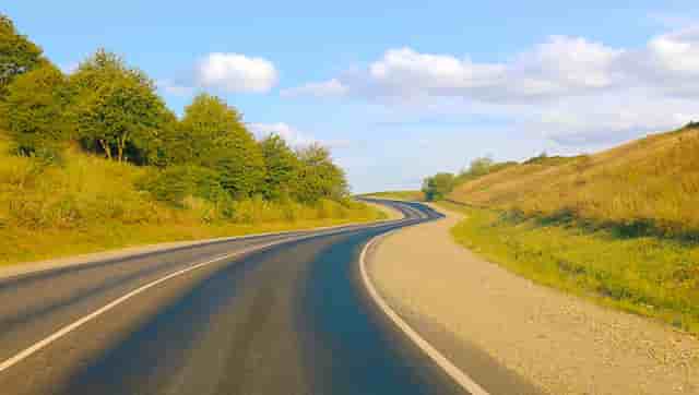 袖虎病狗攻略：狗狗掉毛多是有病的表现吗？