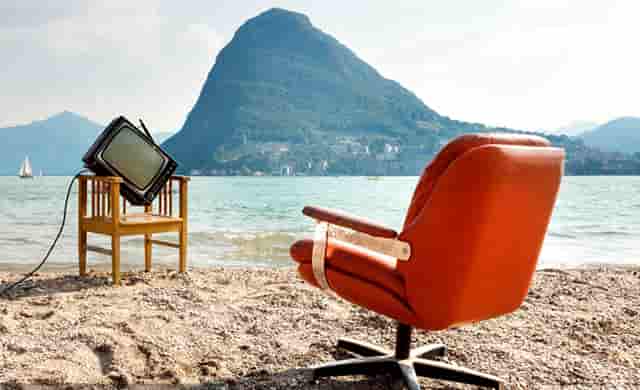 袖虎宠物解读宠物行业是否存在加盟骗局？