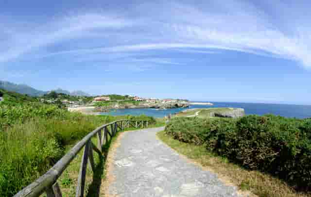 现在最新仔猪价格(广西今天最新仔猪价格)