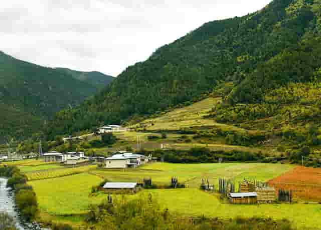 知乎携手京东、品牌商家，共创 11.11 家电家居消费指南