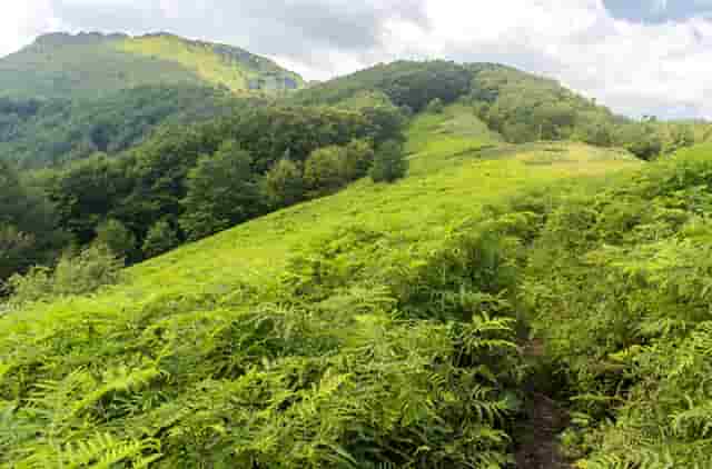 华为x10手机屏幕变成黑白色怎么恢复