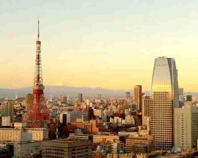 袖虎病猫攻略： 猫打喷嚏怎么办